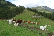 PIZZO BADILE (2044 m) brembano da Valleve il 16 agosto 2019 - FOTOGALLERY